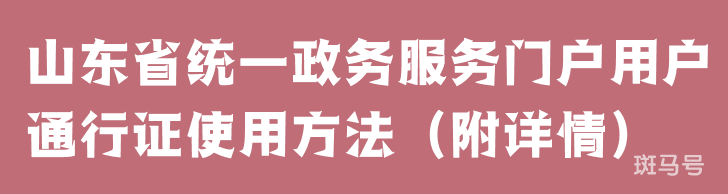 山东省统一政务服务门户用户通行证使用方法（附详情）(图1)