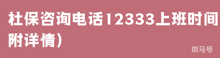 社保咨询电话12333上班时间（附详情）(图1)