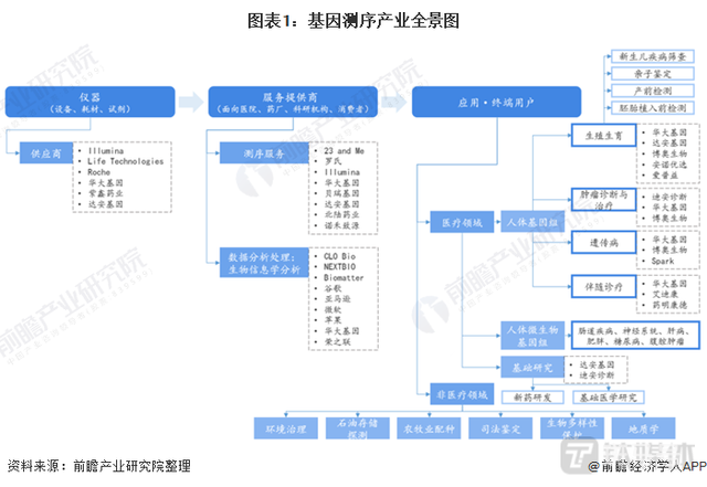 完整人类基因组首次被破译 历时22年(图3)