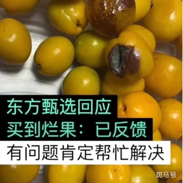 新东方回应桃子霉烂长毛 你怎么看(图4)