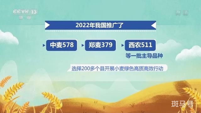 来之不易的丰收(图11)