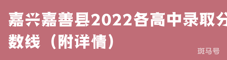 嘉兴嘉善县2022各高中录取分数线（附详情）