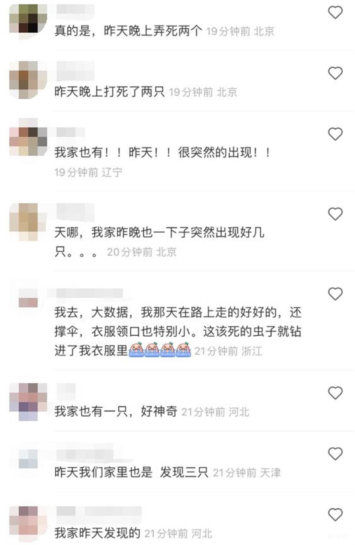 京津冀现不明黑色昆虫?专家解读（中华婪步甲，对人体无害无需担心）(图3)