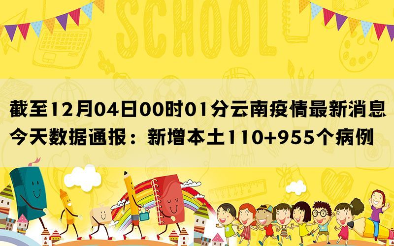 截至12月04日00时01分云南疫情最新消息今天数据通报：新增本土110+955个病例