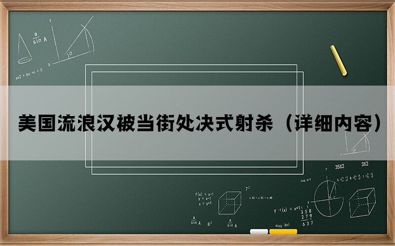 美国流浪汉被当街处决式射杀（详细内容）(图1)