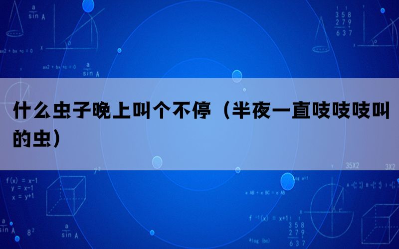 什么虫子晚上叫个不停（半夜一直吱吱吱叫的虫）