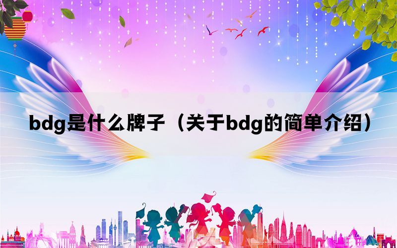 bdg是什么牌子（关于bdg的简单介绍）