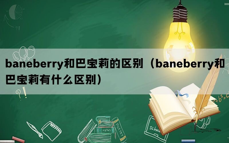 baneberry和巴宝莉的区别（baneberry和巴宝莉有什么区别）