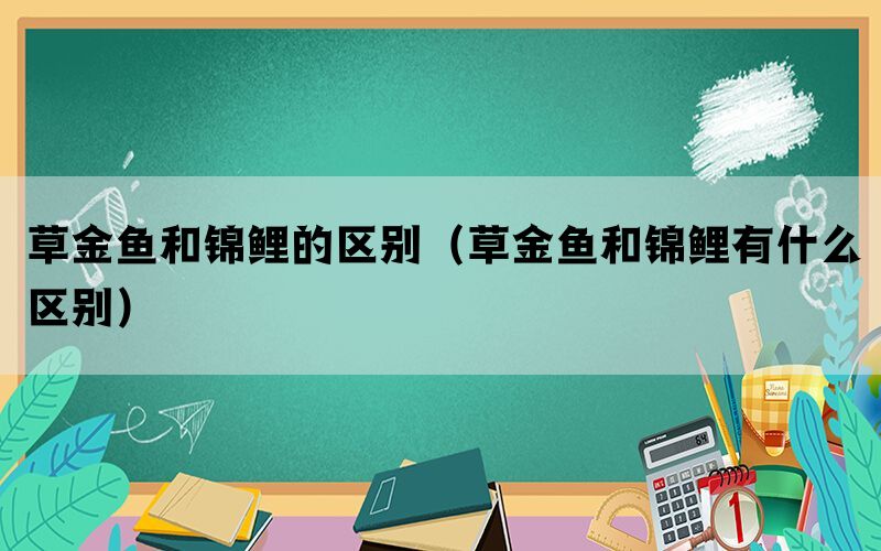 草金鱼和锦鲤的区别（草金鱼和锦鲤有什么区别）