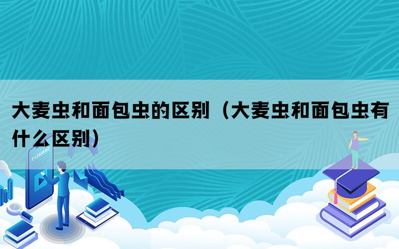 大麦虫和面包虫的区别（大麦虫和面包虫有什么区别）