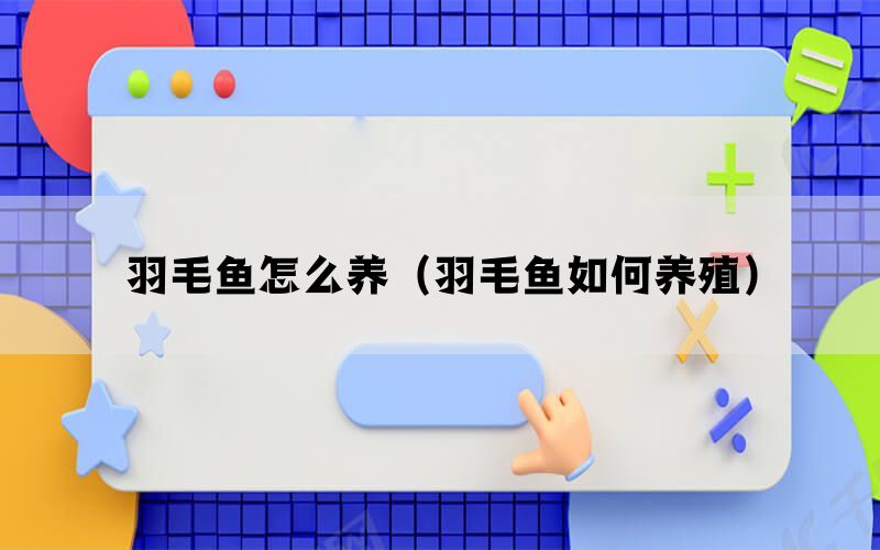 羽毛鱼怎么养（羽毛鱼如何养殖）(图1)