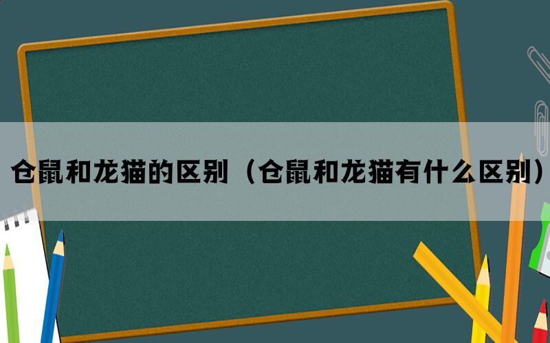 仓鼠和龙猫的区别（仓鼠和龙猫有什么区别）