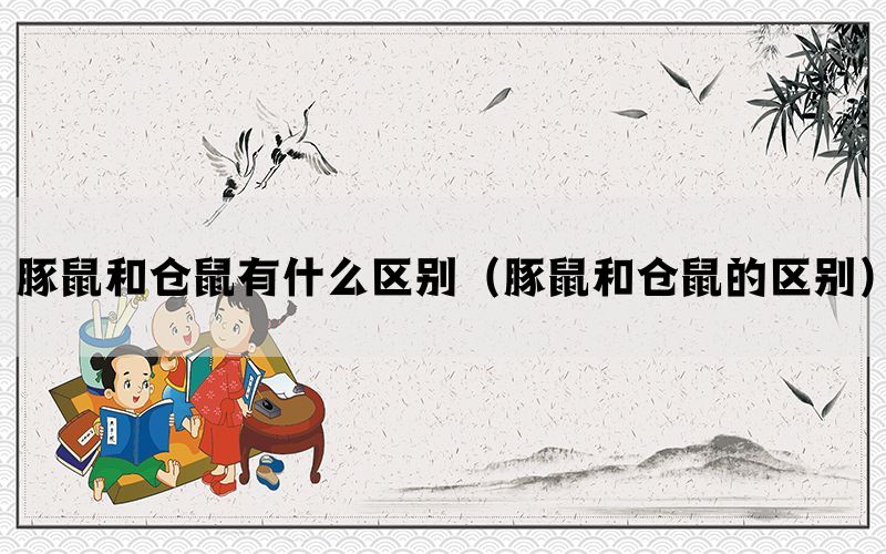 豚鼠和仓鼠有什么区别（豚鼠和仓鼠的区别）