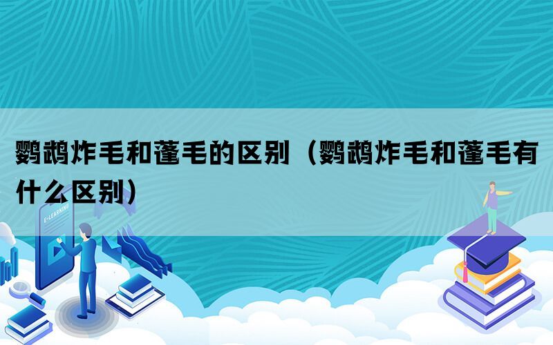 鹦鹉炸毛和蓬毛的区别（鹦鹉炸毛和蓬毛有什么区别）