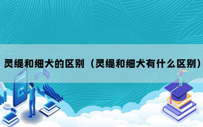 灵缇和细犬的区别（灵缇和细犬有什么区别）