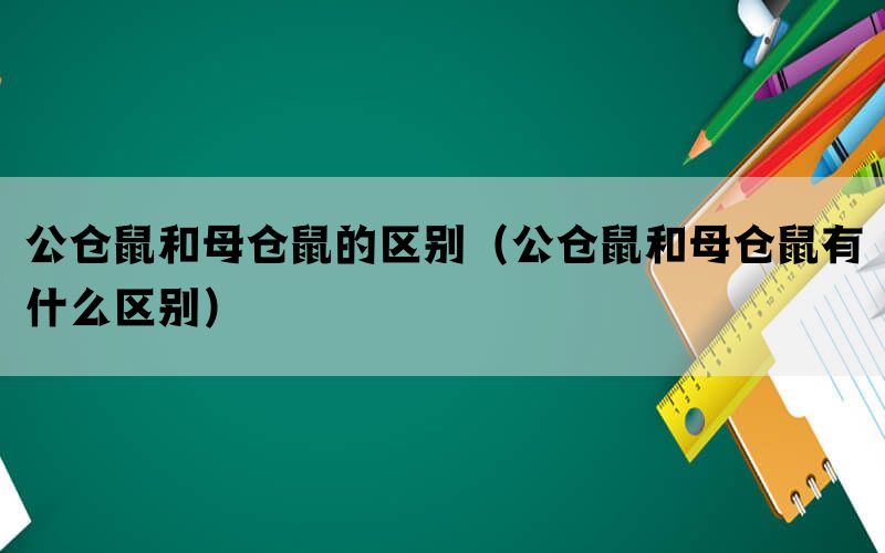 公仓鼠和母仓鼠的区别（公仓鼠和母仓鼠有什么区别）