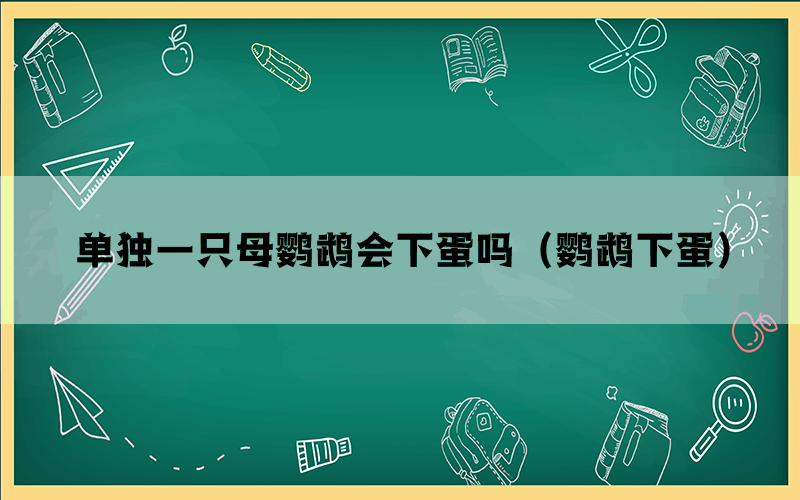 单独一只母鹦鹉会下蛋吗（鹦鹉下蛋）