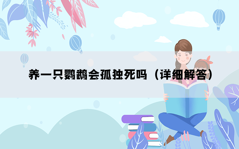 养一只鹦鹉会孤独死吗（详细解答）