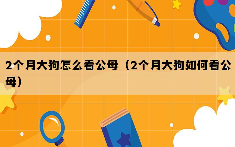 2个月大狗怎么看公母（2个月大狗如何看公母）