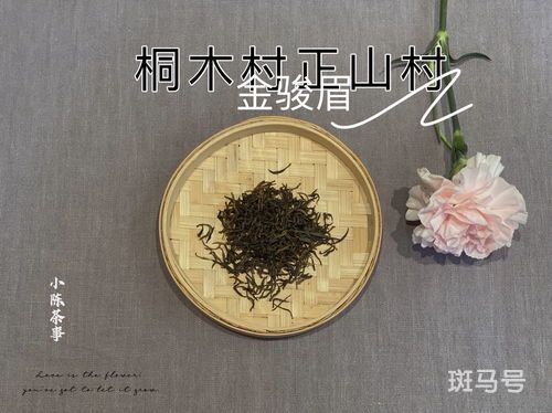 红茶坏了怎么看出来(如何判断红茶有没有变质)