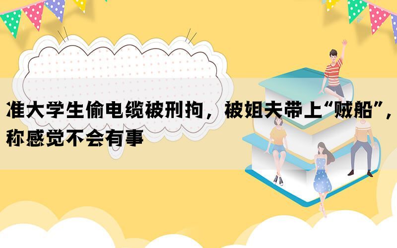 准大学生偷电缆被刑拘，被姐夫带上“贼船”，称感觉不会有事(图1)