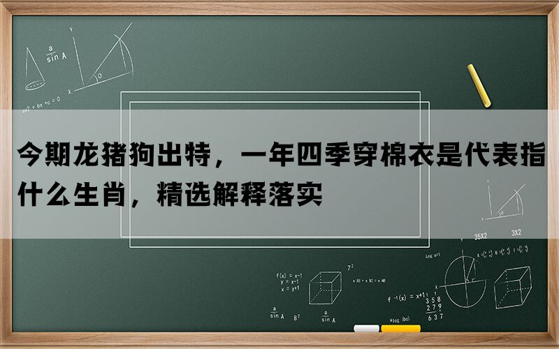 今期龙猪狗出特，一年四季穿棉衣是代表指什么生肖，精选解释落实