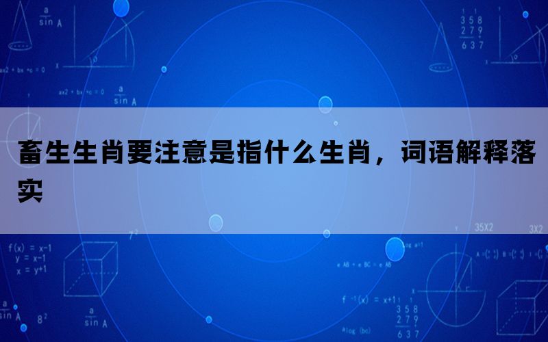 畜生生肖要注意是指什么生肖，词语解释落实(图1)